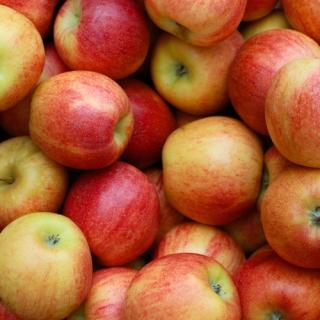 Apfel Deljonka
