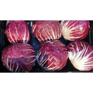 Radicchio Treviso