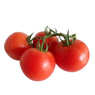 Tomate rund