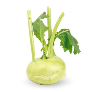 Kohlrabi grün