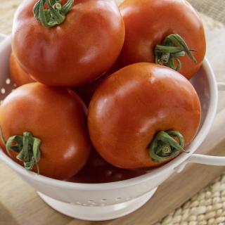 Tomate rund, eigener Anbau