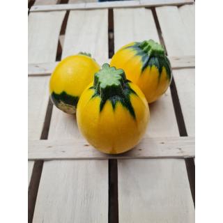 Zucchini rondo gelb/grün, eigener Anbau