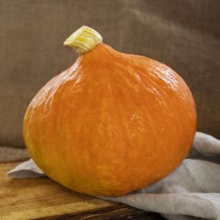 Hokkaido orange, eigener Anbau