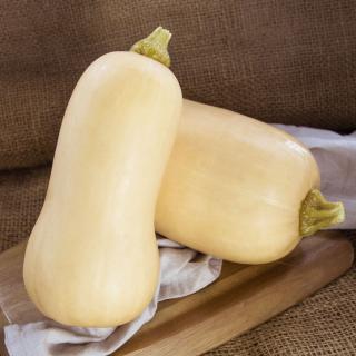 Butternut, eigener Anbau