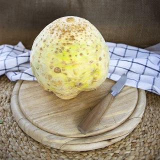 Knollensellerie, eigener Anbau