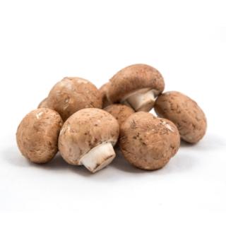 Steinchampignons