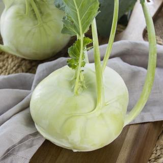 Kohlrabi, eigener Anbau